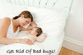 How to get rid of bed bugs 2728.jpg
